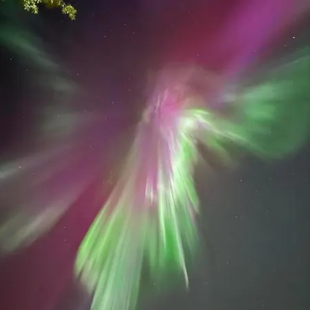 Seafront Retreat With Panoramic Mountain Views Casa de Férias Ballangen